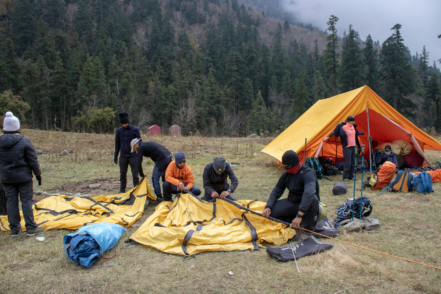 A group of people setting up camping tents in a field.